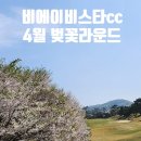 GS25 덕평IC점 | 봄에 여기 안 가면 손해🌸 이천 비에이비스타 CC 벚꽃 라운드 후기 (코스·잔디·난이도 총정리)
