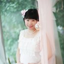 레몬트리 - 포항시 남구 냉천로302번길 56 | 레몬트리