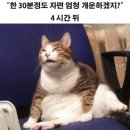 야들아 티스토리 아눈 사람아 이미지