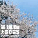 씨유(CU) 과천벨라르테점 | [서울 벚꽃 데이트] 벚꽃 만개한 ‘서울 대공원’ 추천해요!