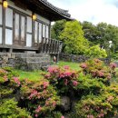 금선에너지 이미지