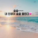 한스라벨르