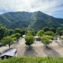 아트민박펜션 | 애견 동반 가능한 경남 오토캠핑장 지리산 당근 오토캠핑장을 선택한 이유는