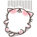 계명대 천하무적 태권도장 이미지