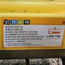 바이크세상 | 정동진 레일바이크 / 내돈내산 솔직후기