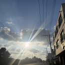 사임당로17길 52-16 | [제주]뚜벅이 혼자 여행 1박 2일 후기 버스 뚜벅이 빗소리/김녕오라이/서우봉/야야카페/오드랑베이커리...