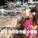 수풀림 | 김포 아이와 가볼만한 곳 추천! 수풀림 아쿠아카페 내돈내산 후기