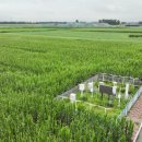 창춘농장 이미지