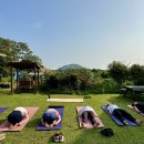 베르데제주