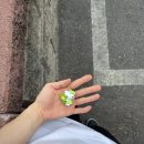 씨유제주애월고성점 | 제주 여행기