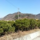 가온조경 이미지