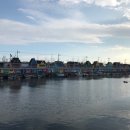 장림포구 이미지