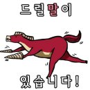 멍멍멍 이미지