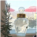 대청본가 이미지