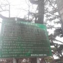 동막민박 이미지