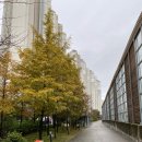 진주동명고등학교 | [경남 진주시] My Hometown