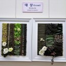 한국압화박물관 이미지