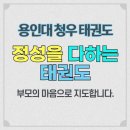 용인대새봄태권도 이미지