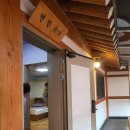 별빛애견 이미지