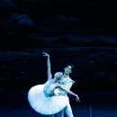 2021 수원발레축제 이미지