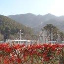 제일농장 이미지