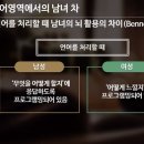 인성1교차로(보성초교) 3 | 우리 아이의 행동, 뇌과학으로 읽다 강의 후기 아들의 뇌 저자 곽윤정 교수