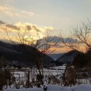 태기산아침의새소리 이미지