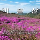 비슬산 이미지