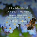 로우니