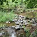 호두나무캠핑장 이미지