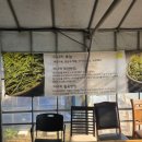 남산농원 | 경북 가볼만한곳 청도 여행 미나리 삼겹살 한재 한주농원 대여료 정보 내돈내산