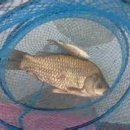 인산낚시터 이미지