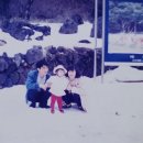 삼해관광횟집 | 겨울제주여행(2) 1100고지 수태고지 백마고지 그게 그 고지