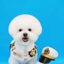 전설의 그루밍 이미지