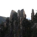 무릉계곡 힐링캠프장 이미지