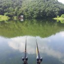 그린낚시터 이미지