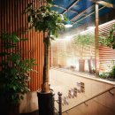 센텀대중목욕탕 이미지