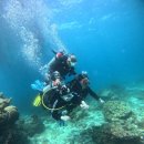 쁘다피자와치킨 | 단 둘 뿐이래도