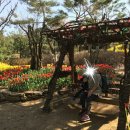 스파밸리 이미지