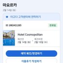 마요르카 호텔 코스모폴리탄 수영장 조식 추천 후기