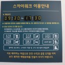 델코종합카프라자 | 평창 가볼만한곳 11월 겨울 힐링여행 발왕산 케이블카 천년주목길 스카이워크 가격 포토존 일몰명소 추천