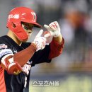 KBO League 프로야구 이미지