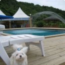 낙원펜션 이미지