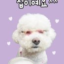 1225 | 🎯 1225회 로또 당첨번호 공개! 1등 13명…각 22억 원 잭팟