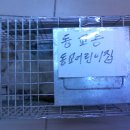 동교어린이집 이미지