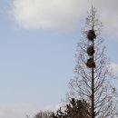 장수리마을회관 이미지