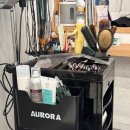 207헤어살롱 | [서현역 미용실]살롱고은 두피클리닉 린다 실장님 후기 (feat. 2026 헤어 케어 트렌드 두피케어)