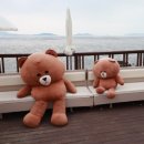 케이131 이미지