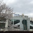 주공4단지아파트 상가동(한라) | [임장일기] 경기도 군포시 한라주공4단지1차 아파트 임장기(용적률 115% 재건축 추진중)