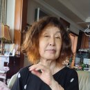 손수코 이미지